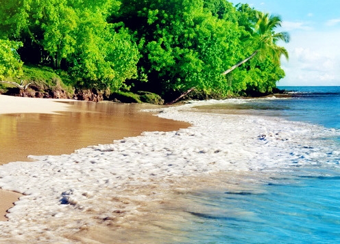 粉象生活如何升级的