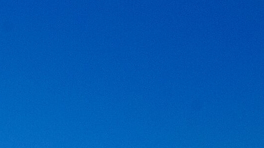 粉象生活能赚到钱吗