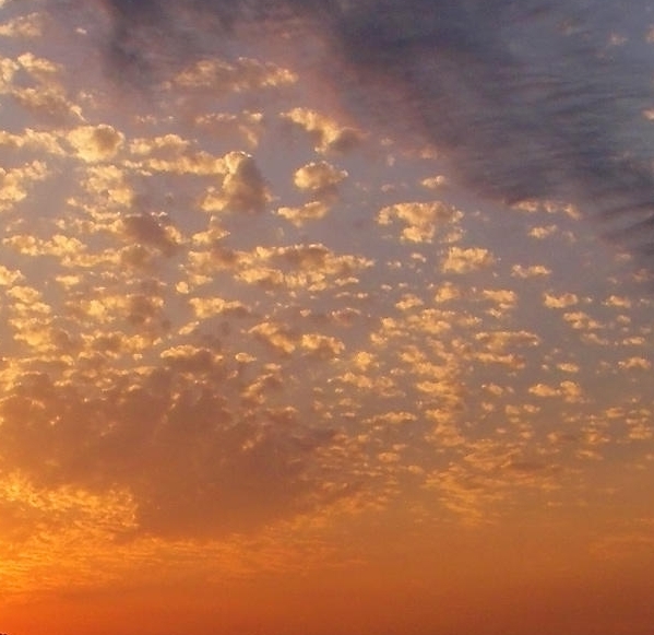 粉象生活如何增加推广