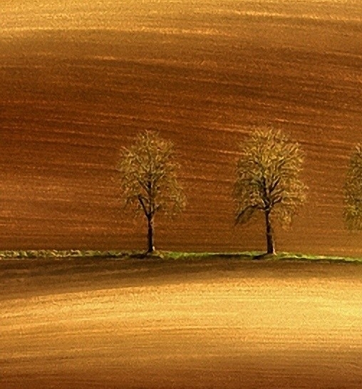 湘潭粉象生活推广