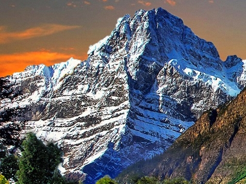 粉象生活能赚到钱吗