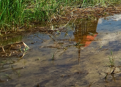 粉象生活公益排行