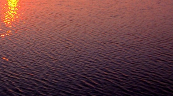 你们做粉象生活的收入