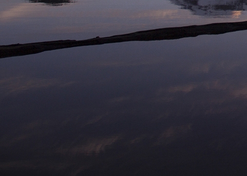 如何加入粉象生活推广