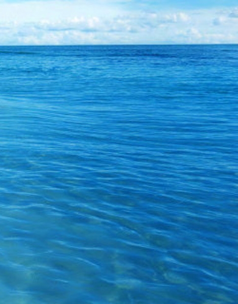 粉象生活怎么赚钱的