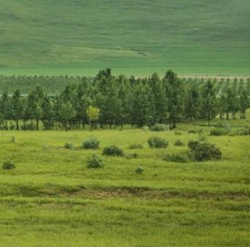 肇庆粉象生活收费