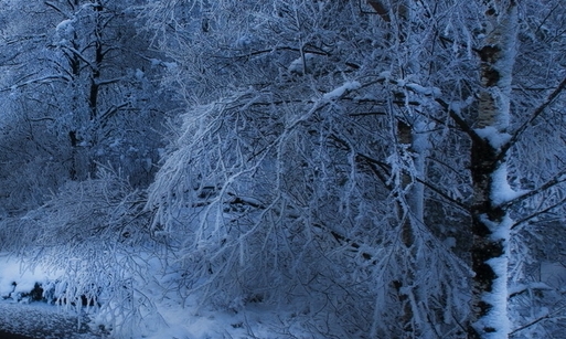 永辉生活是送货到家吗?