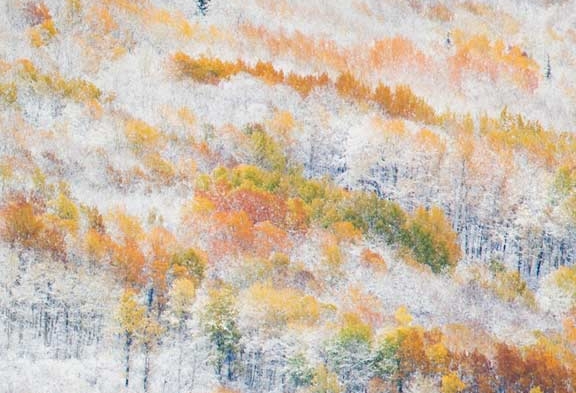 疫情期间怎么做好粉象生活