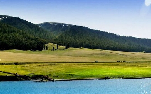 茂名粉象生活赚钱