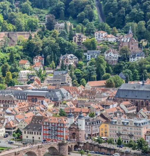 粉象生活怎么做的粉象生活