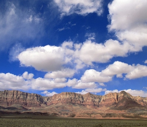 有没有做粉象生活不成功的