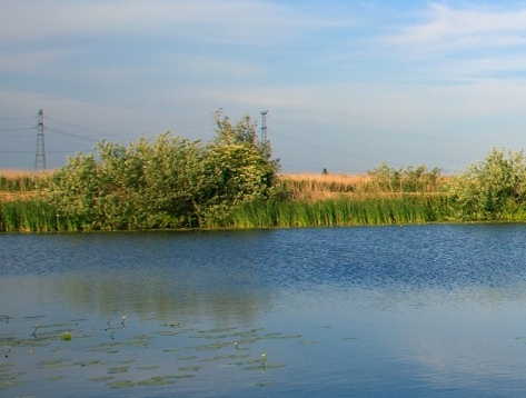 粉象生活淘客推广方法