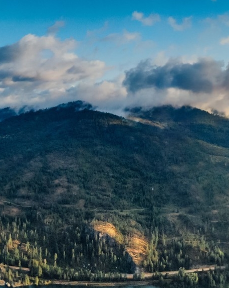 粉象生活粉丝怎么增加