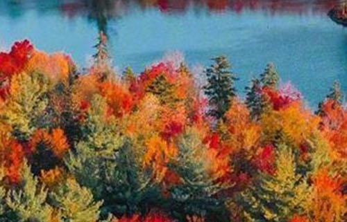 粉象生活邀请人