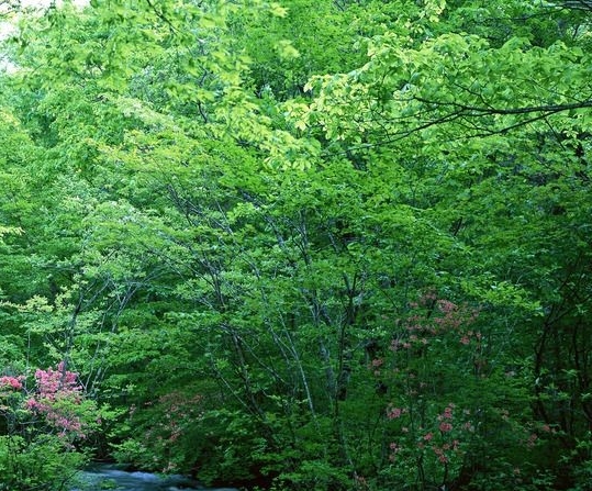 粉象生活是什么?