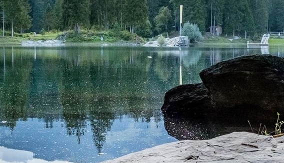 粉象生活邀请码