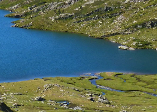 如何制作粉象生活分享视频