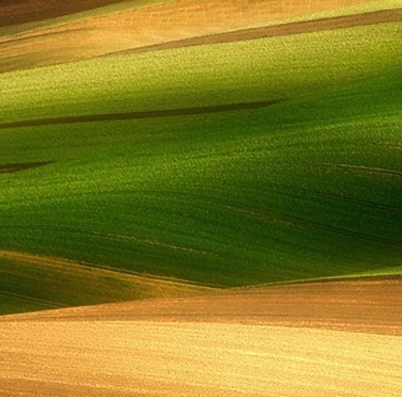 用粉象生活有提成吗