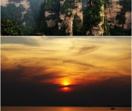 粉象生活的体系