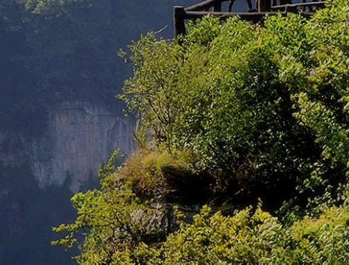 成都粉象生活加盟