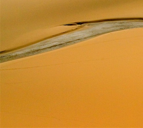 粉象生活用什么登录