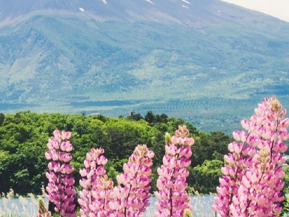 粉象生活邀请码可以改吗