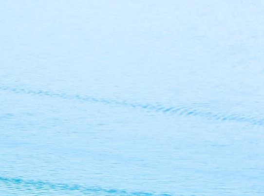 粉象生活APP升级