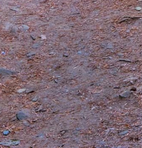 口碑好的粉象生活怎么赚钱