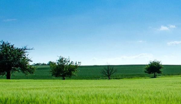 粉象生活平台是什么意思