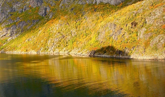 粉象生活怎么赚钱