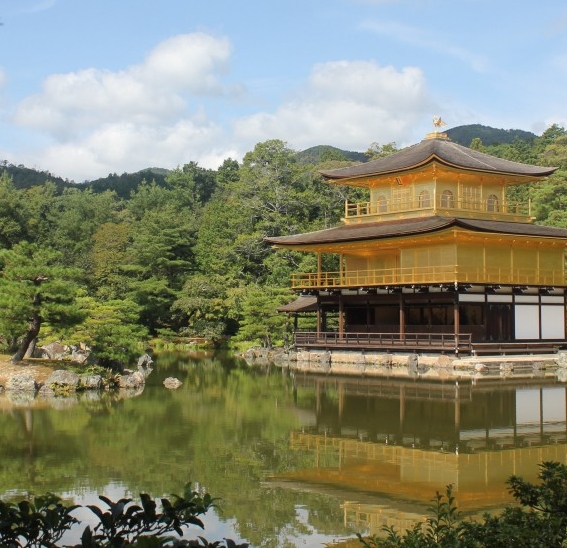 烟台粉象生活收费