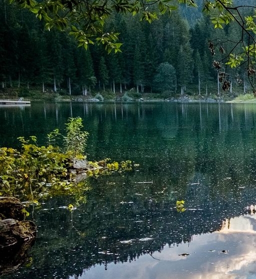 粉象生活到底能不能做