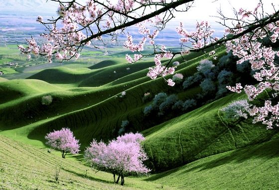 如何卸载象司机