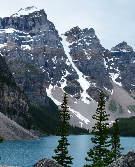 粉象生活下载app