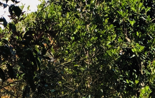 粉象生活卖东西可以挣钱吗