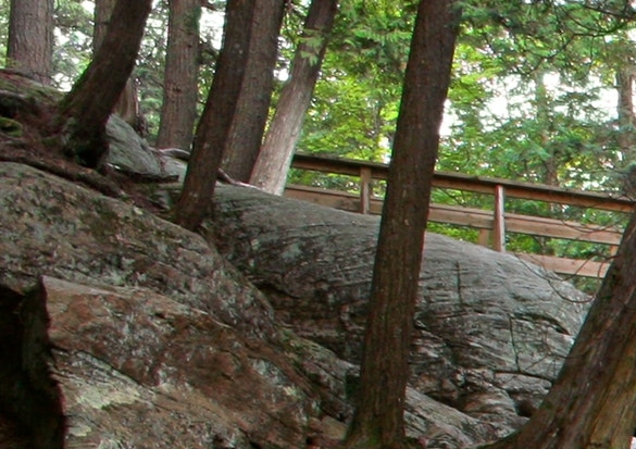 粉象生活怎么注册自己的邀请码