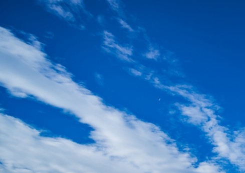 粉象生活有不可见粉丝吗