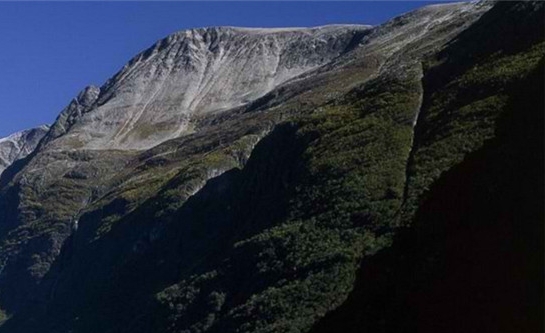 粉象生活新用户图片