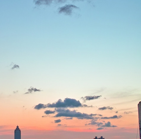 粉象生活的样子