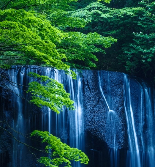 粉象生活实力好吗