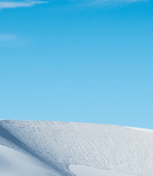 高省和粉象生活哪个更有优势