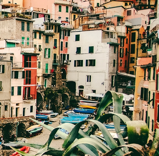 李红星粉象生活推荐