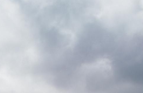 粉象生活邀请码