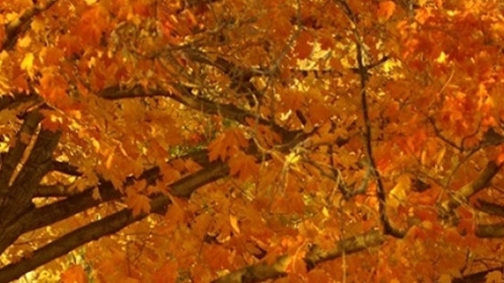 粉象生活三千块能提现吗