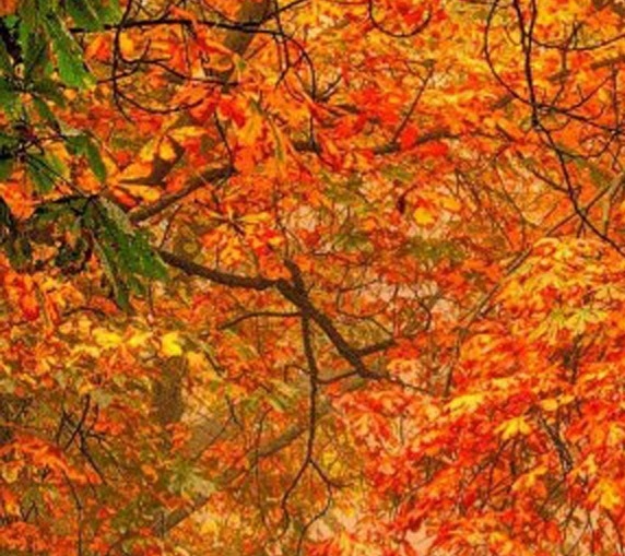 粉象生活第一个是怎么注册的