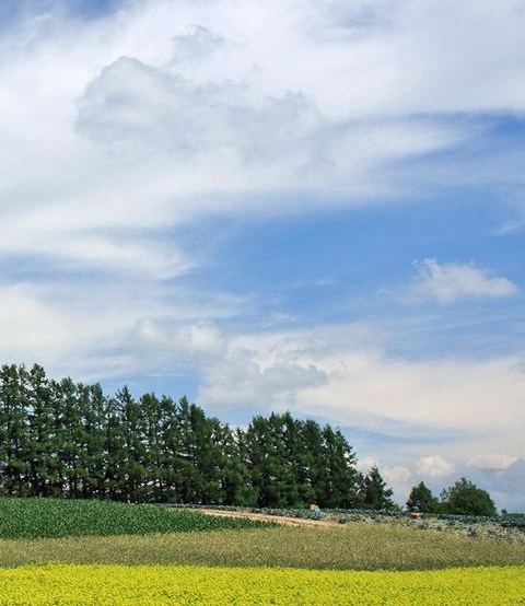 粉象的粉丝佣金在哪里看