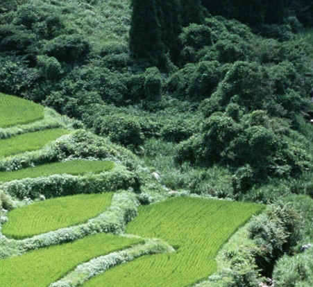 淮安看守所生活怎么样