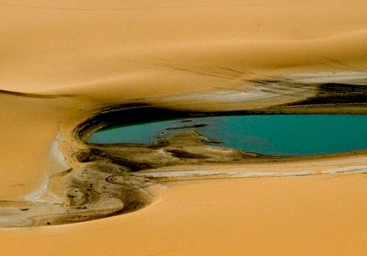 粉象生活工作待遇怎么样