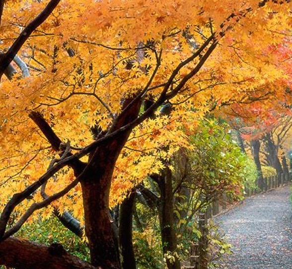 粉象生活赚钱靠谱吗