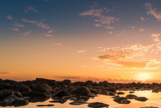 粉象生活的优势